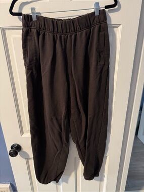 Aerie Jet Setter jogger